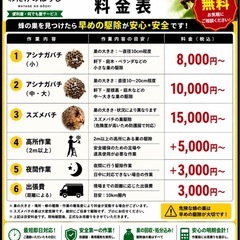 蜂の巣困っていませんか？