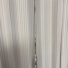銀狼王牙の画像