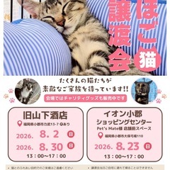 8月2日（日）小郡市力武で譲渡会🐾超ゴロスリの男の子 - 里親募集