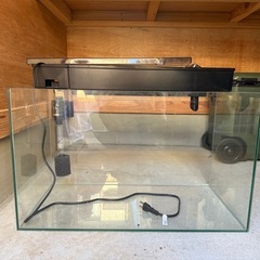600水槽上部フィルター付きの画像