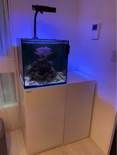【値下げ！】★Red Sea REEFER Nano★アクアリウム用品一式 値下げ美品☆レッドシーリーファーナノ飼育設備セットRed Sea