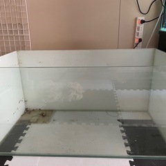 90cm水槽の画像