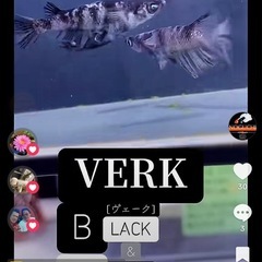 今シーズンラストメダカイベント‼️🕊️ - 鳥栖市