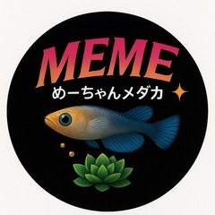 【メダカ・めだか】 金閣ワイドフィン　1ペア の画像