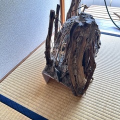 水槽用レイアウトの画像