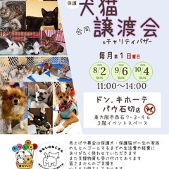 9月6日　犬と猫の合同譲渡会