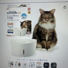 猫　給水器の画像