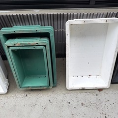 トロ船　メダカ　金魚水槽の画像