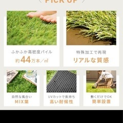 人工芝 の画像