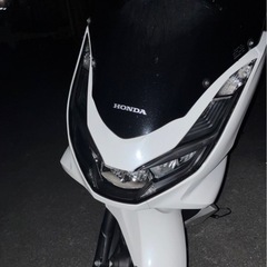pcx 05の画像