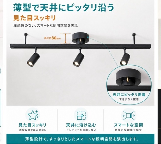 超美品】ダクトレール・スポットライト・電球セット (rei) 芦花公園の