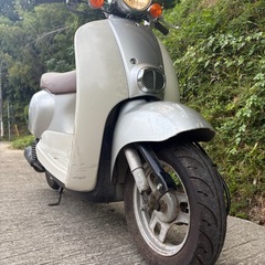HONDA!ジョルノ原付の画像
