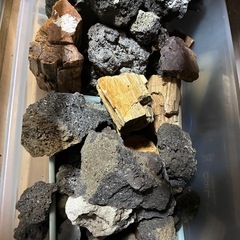 アクアリウム水槽セットの画像