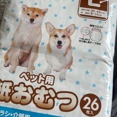 【決まりました】犬のおむつあげますの画像