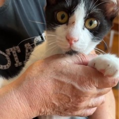 UTO3boysです！1匹黒猫ちゃん🐈‍⬛みんな優男です☘️