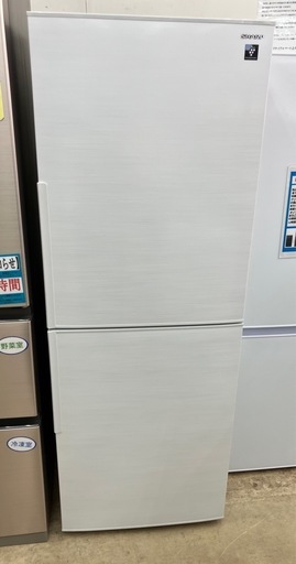 SHARP/シャープ 282L冷蔵庫 2024年製 SJ-PD28K No.7024○ ※現金
