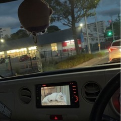 ミラココア　平成28年式。すぐ乗れます。の画像