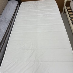 🟡シングルベット🟡の画像
