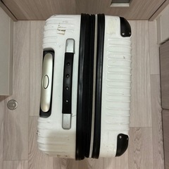 キャリーバッグの画像