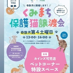 くみまち保護猫譲渡会 20260926