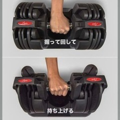 ライシン ベルトラ 可変式ダンベル×2の画像