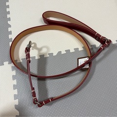 COACH 犬用　首輪、リードセットの画像