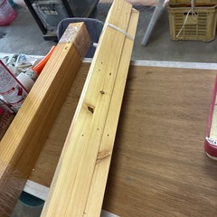 赤松　　の画像