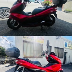 綺麗な‼︎ ホンダ PCX JF28の画像