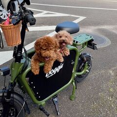 Doggie(ドギー)「愛犬と旅する」をテーマに開発・改良を重ねた、小型～中型犬(約15kgまで)の搭乗を可能とする電動の一般原付・特定小型原付です！ − 宮崎県