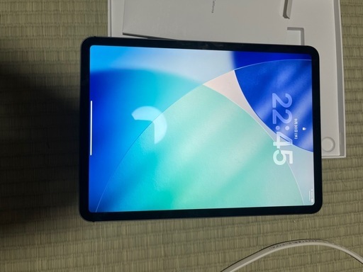 SIMフリー iPad Pro 11インチ 第1世代 256GB Wi-Fi + Cellular早期取引