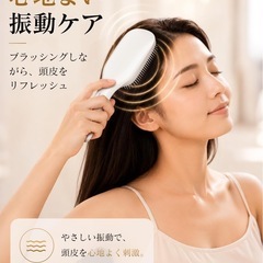 ヘアブラシ 電動 1台多役 EMS リフトケア ブラシ 【業界初！赤色&青色LED・マイナスイオン・3D振動】電気ブラシ 頭皮ケアの画像