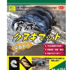 【４リットル程度】育成クヌギマットの画像