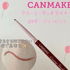 CANMAKE✨2本セット✨SNSバズ人気✨クリーミータッチライナー 09 の画像