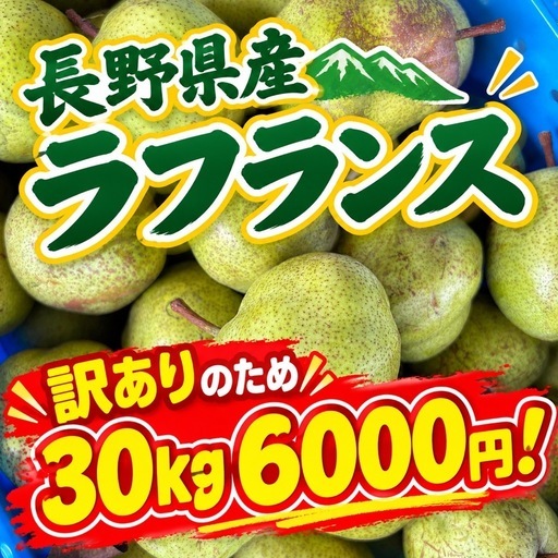 ☆家庭用 加工用 長野県産 ラフランス 洋梨 5kg 訳あり ショボショボ