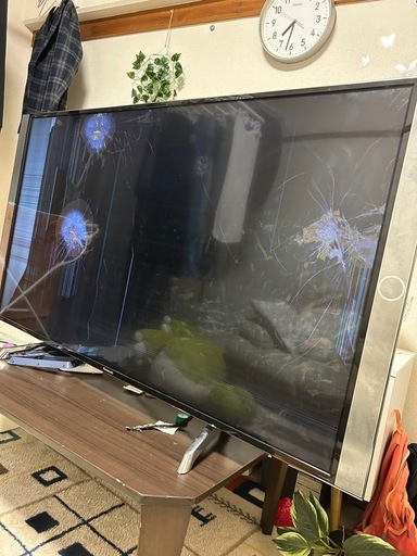 無料・ジャンク】Panasonic テレビ55V型 画面割れ・故障品 (Any