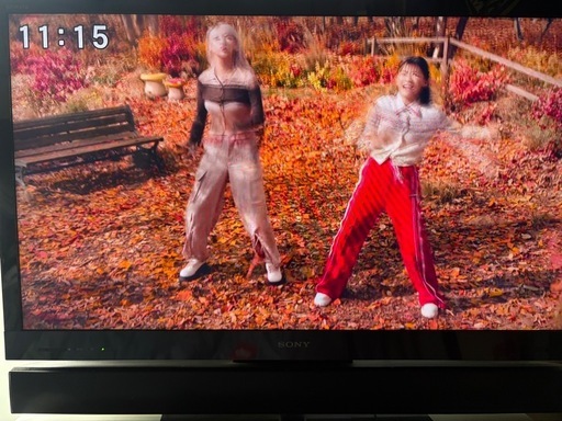 SONY 液晶テレビ KDL-40EX500 40インチ 動作良好 SONY BRAVIA 40型 KDL-40EX500／動作確認済み】 (peco) 笹塚のテレビ