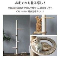 キャットタワーの画像