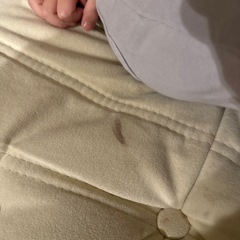 イス クッションチェア ソファの画像