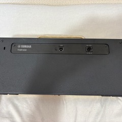 YAMAHA THR10II の画像