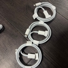 Apple純正ケーブル+SiMピンの画像