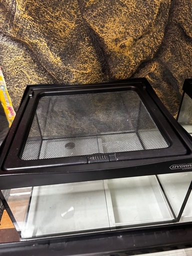 HYDRA3120ケージ爬虫類ケージ (r) 酒殿のその他の中古あげます・譲り