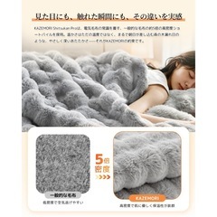 新品未使用❣️ 電気毛布 敷き 掛け 188×130cm 10段階温度調節 節電 掛け兼用 グレー ラビットファー調の画像