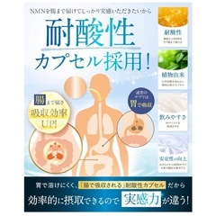 CHÉLINE NMN 60000mg 180粒 60日分 純度99.9% 新品の画像