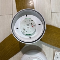 シーリングファンライト　訳あり
の画像