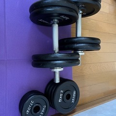IROTEC(アイロテック)】アイアン ダンベル60KGセット（片手30kg×2個
