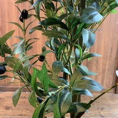 フェイクグリーン　オリーブ　インテリア　人工観葉植物の画像