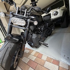 スポーツスターs1250の画像