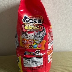 キャットフード３kg 【Ｒ8.10.27渡し済み】の画像