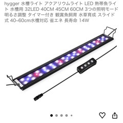 金魚と水槽、飼育セット一式の画像