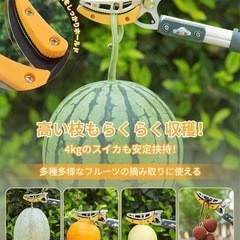 高枝切りバサミ（日本製） 3段伸縮式（1.4m～3m） 軽量・強力タイプ 替刃式 鋸（ノコギリ）付き アルミ柄 SK5高級炭素鋼刃 果樹園・公園・庭などに最適 園芸用品 果実の収穫・高所の剪定用の画像